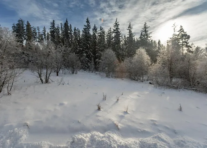 Barn&haus-stodoły Widokowe Dom wakacyjny