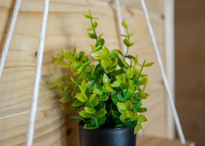 Barn&haus-stodoły Widokowe Dom wakacyjny Zubrzyca Dolna